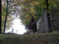 2011 Záhady Toma Wizarda - natáčení 